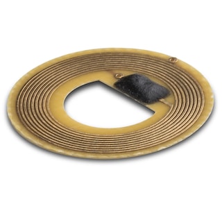 HID® Sentry e-module RFID Tag